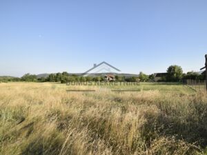 Spuž, Danilovgrad
